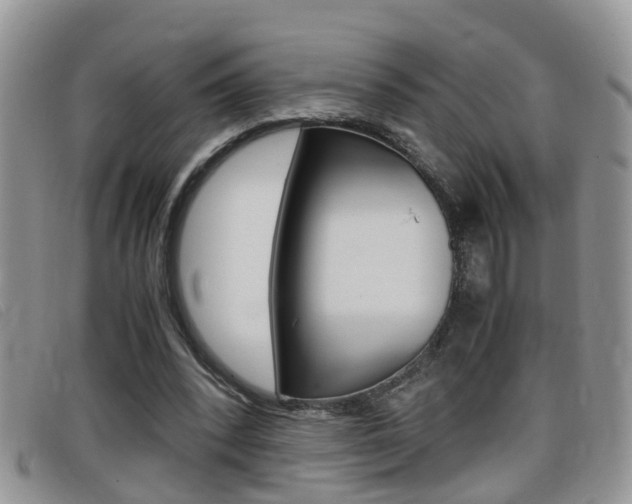 X0000099430392200805090731