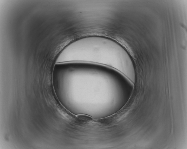 X0000099430393200805090731