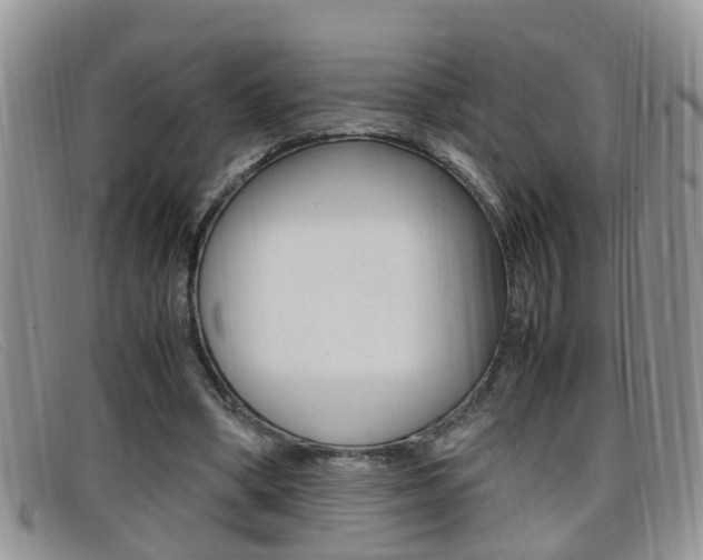 X0000099430394200805090731