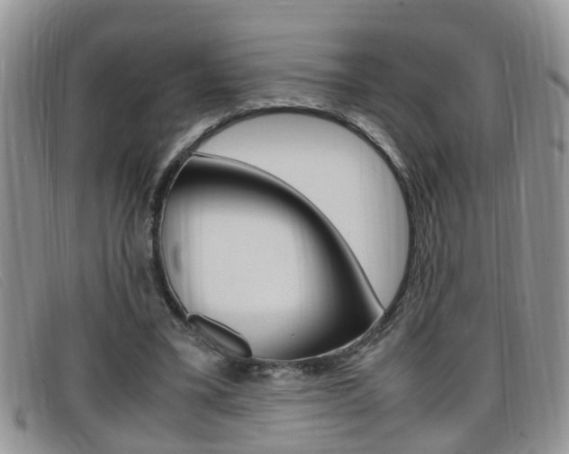 X0000099430395200805090731