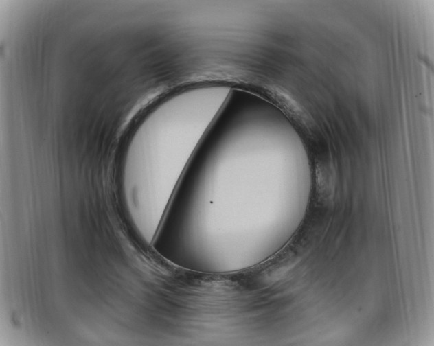 X0000099430396200805090731