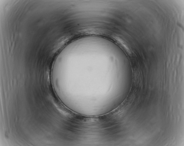 X0000099430398200805090731
