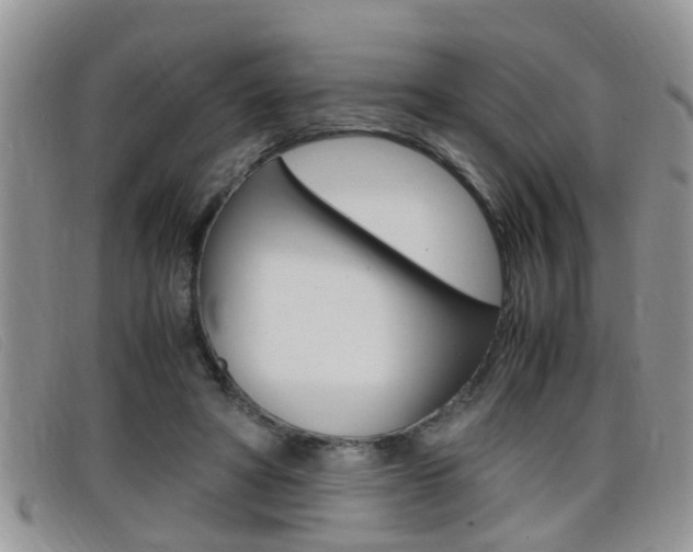 X0000099430402200805090731