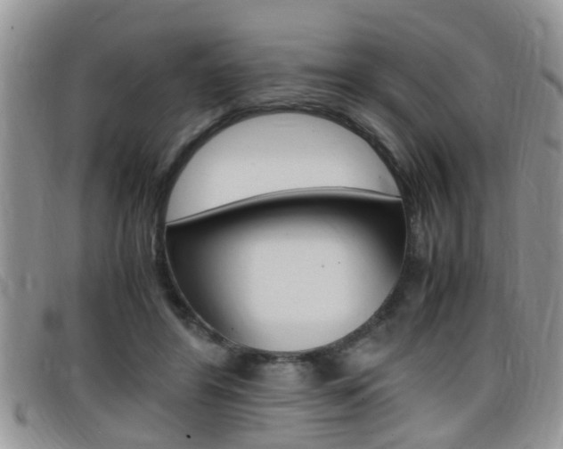 X0000099430404200805090731