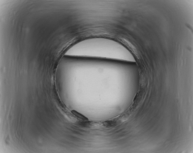 X0000099430405200805090731