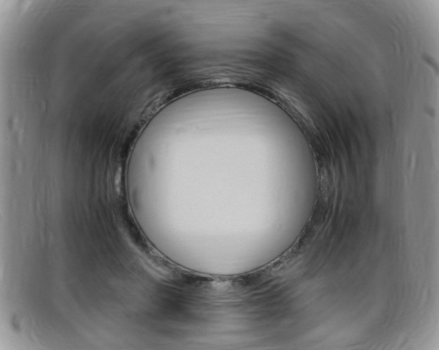 X0000099430406200805090731