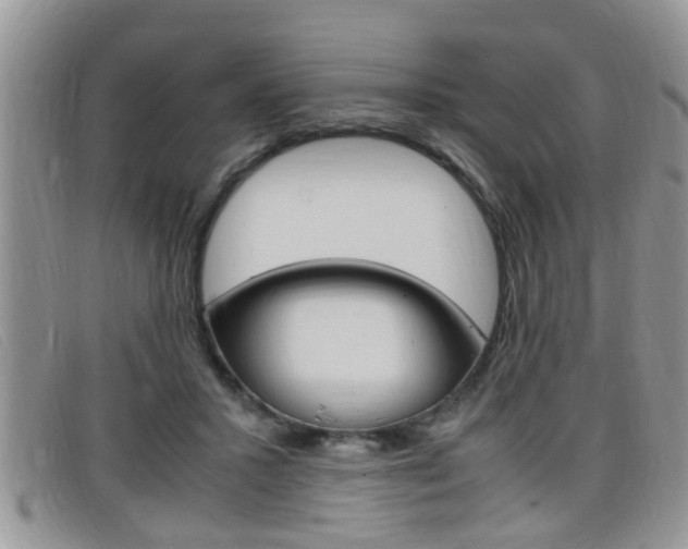 X0000099430407200805090731