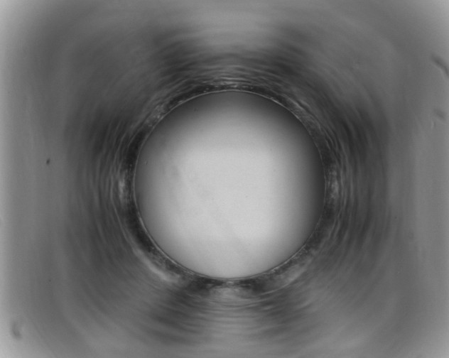 X0000099430408200805090731