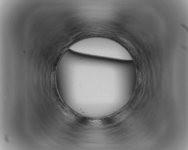 X0000099430409200805090731