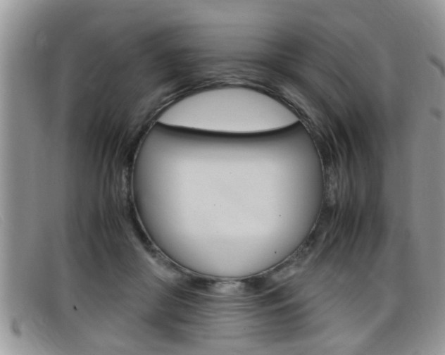 X0000099430410200805090731