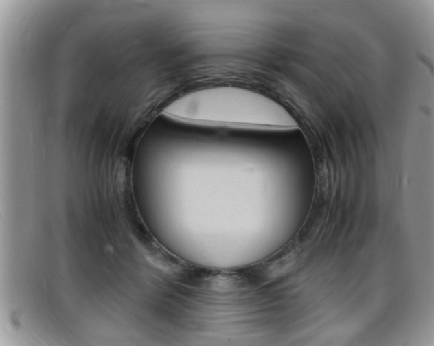 X0000099430412200805090731