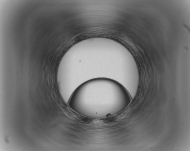 X0000099430413200805090731
