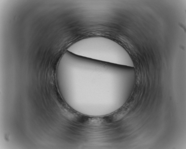 X0000099430414200805090731