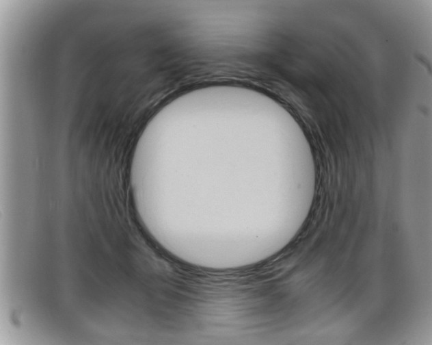 X0000099430415200805090731