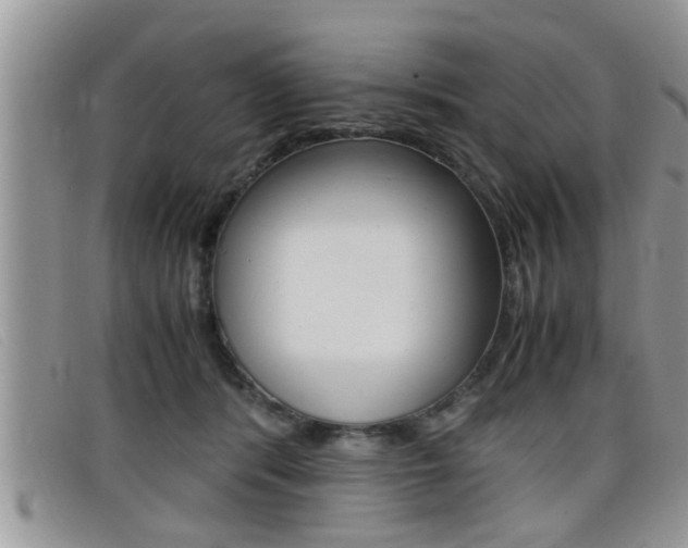 X0000099430416200805090731