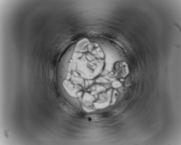 X0000099430417200805090731
