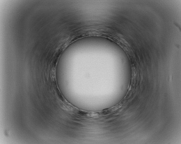 X0000099430419200805090731