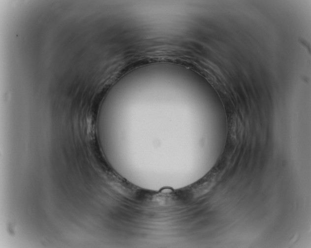X0000099430420200805090731