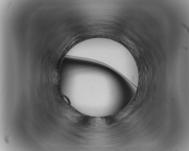 X0000099430421200805090731