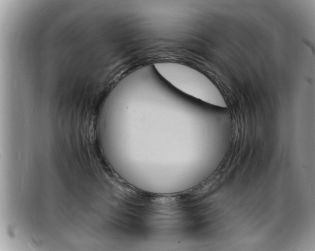 X0000099430422200805090731