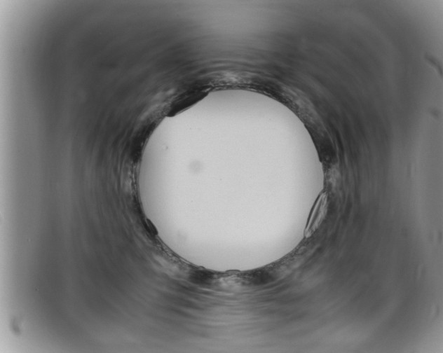 X0000099430423200805090731