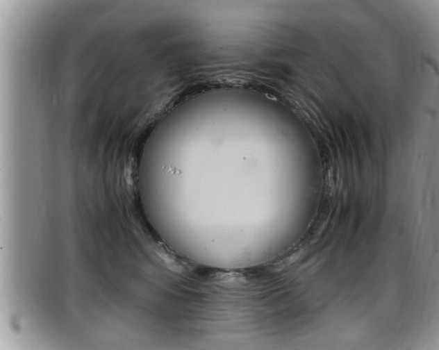 X0000099430424200805090731