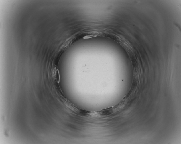 X0000099430425200805090731