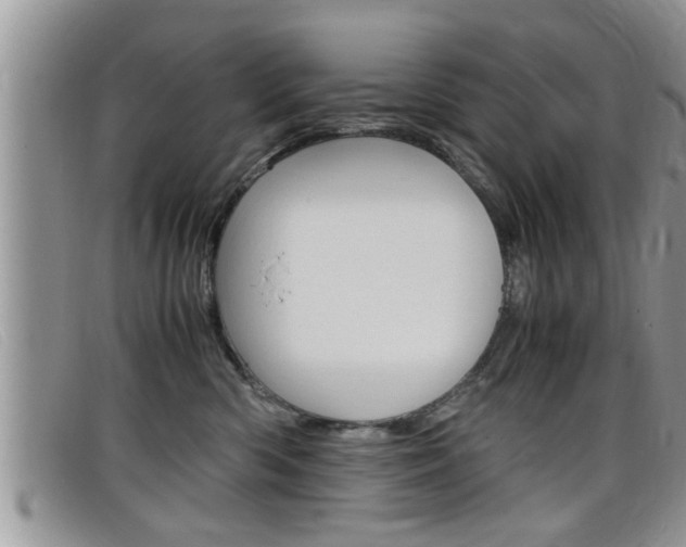 X0000099430426200805090731