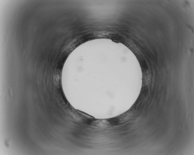 X0000099430427200805090731
