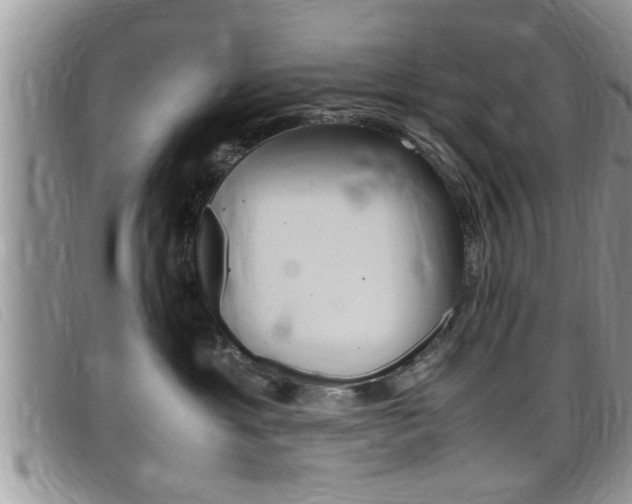 X0000099430429200805090730