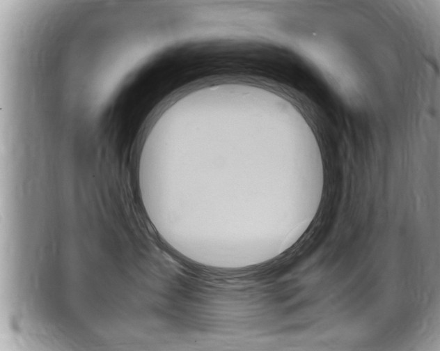 X0000099430431200805090730