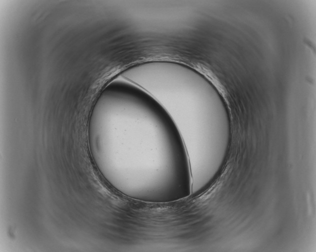 X0000099430433200805090730
