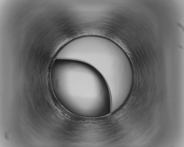 X0000099430434200805090730