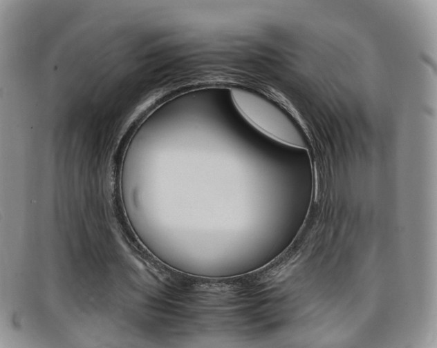 X0000099430435200805090730