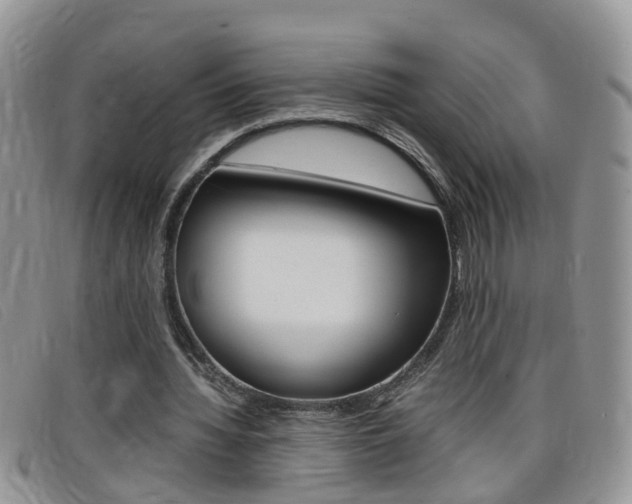 X0000099430436200805090730