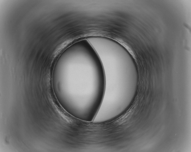 X0000099430437200805090730