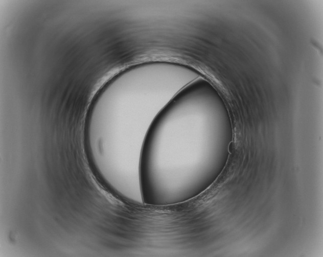 X0000099430438200805090730