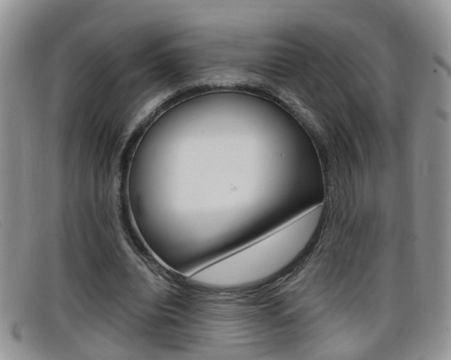 X0000099430440200805090730