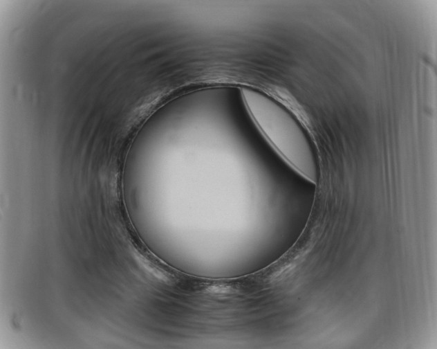 X0000099430441200805090730