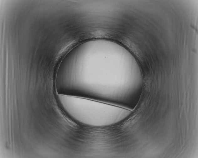 X0000099430442200805090730