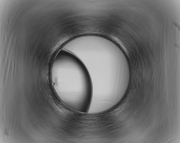 X0000099430443200805090730
