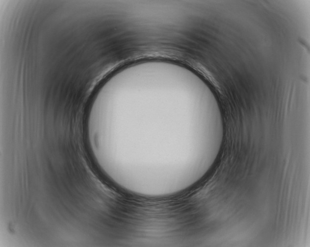 X0000099430444200805090730