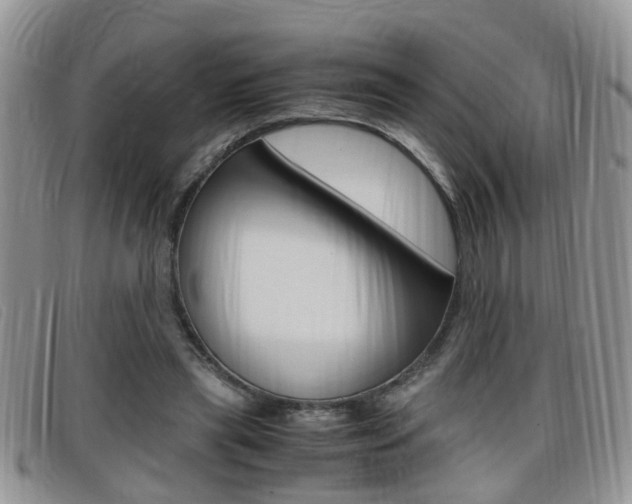 X0000099430445200805090730