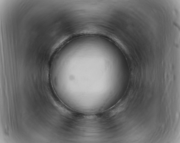 X0000099430446200805090730