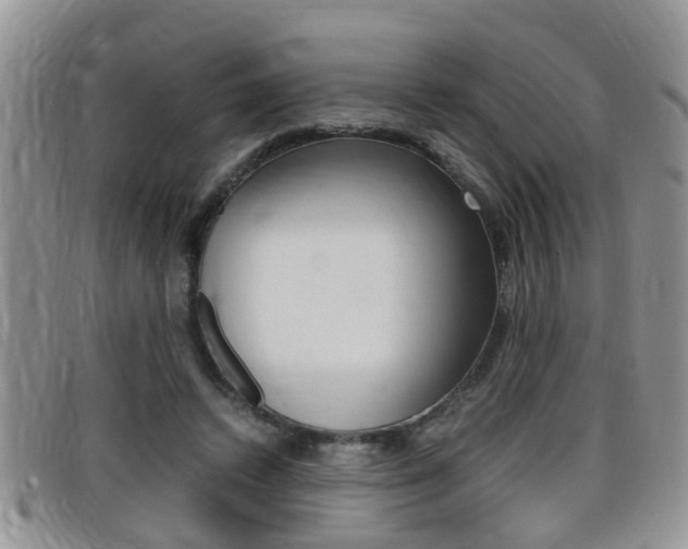 X0000099430448200805090730