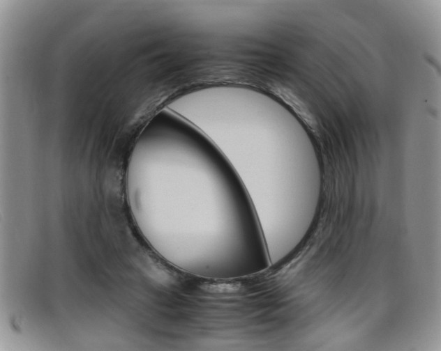 X0000099430449200805090730