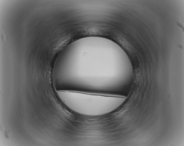 X0000099430450200805090730