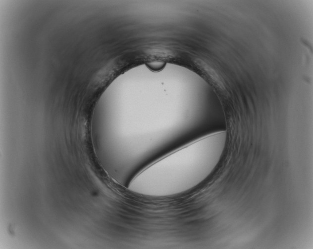 X0000099430451200805090730