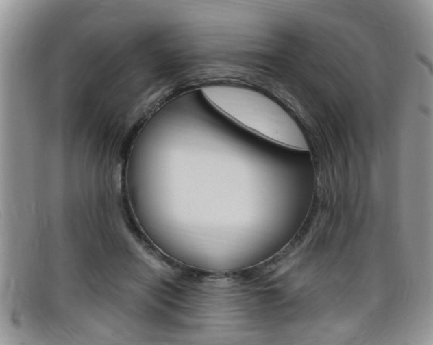 X0000099430454200805090730