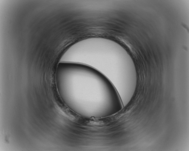 X0000099430455200805090730